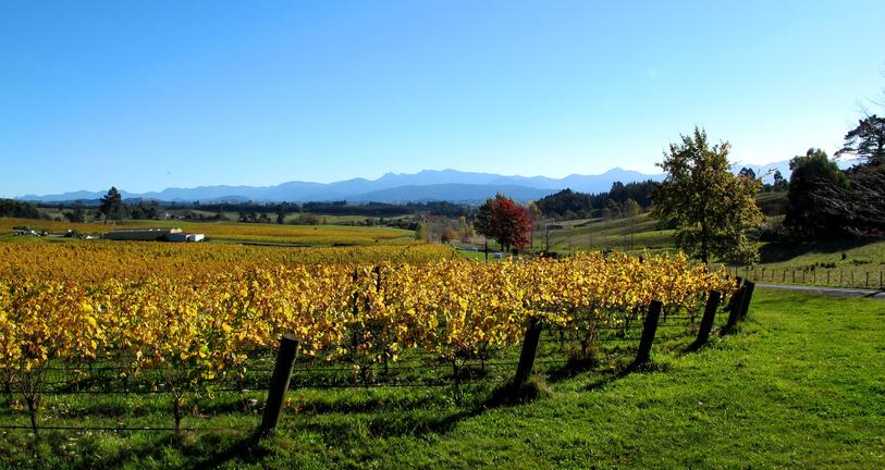 Wheelie fantastic Cycle Tours