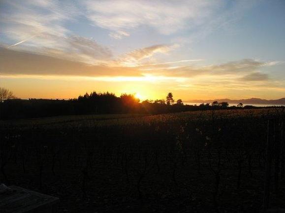 Kina Beach Vineyard The Cottage