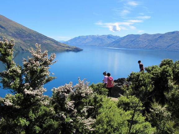 LakeWanakaCruise&IslandNatureWalk