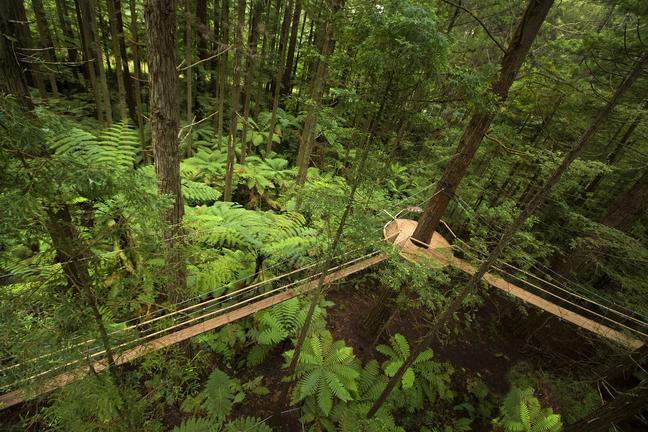 RedwoodsOutdoorActivitiesNZLtdhttps://www.treewalk.co.nz/