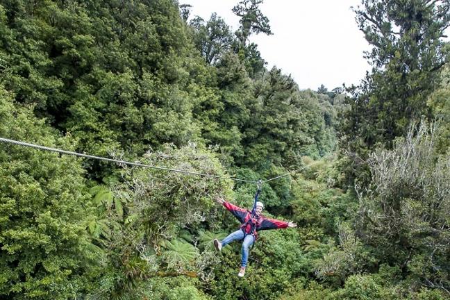 RotoruaCanopyTours