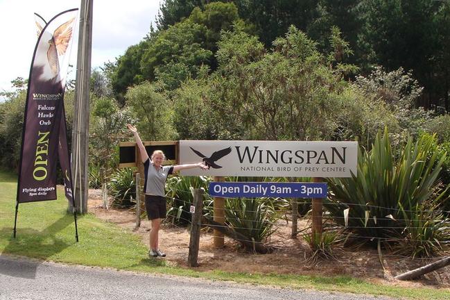 WingspanBirdsofPreyTrust