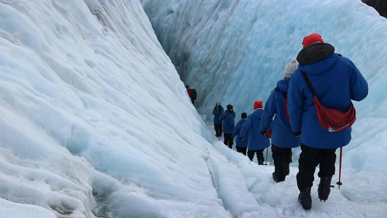 FranzJosefGlacierGuides