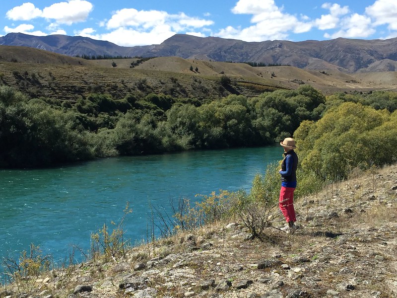 overlooking the clutha river near the village of wanaka