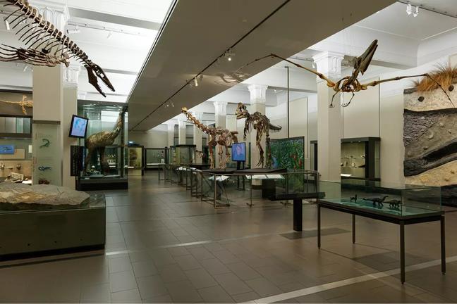 AucklandMuseumhttps://www.aucklandmuseum.com