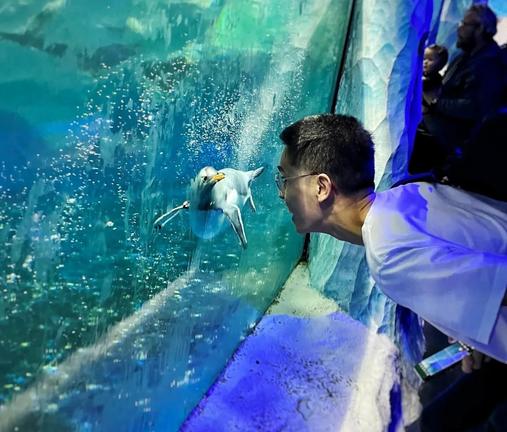 MerlinEntertainmentshttps://www.visitsealife.com