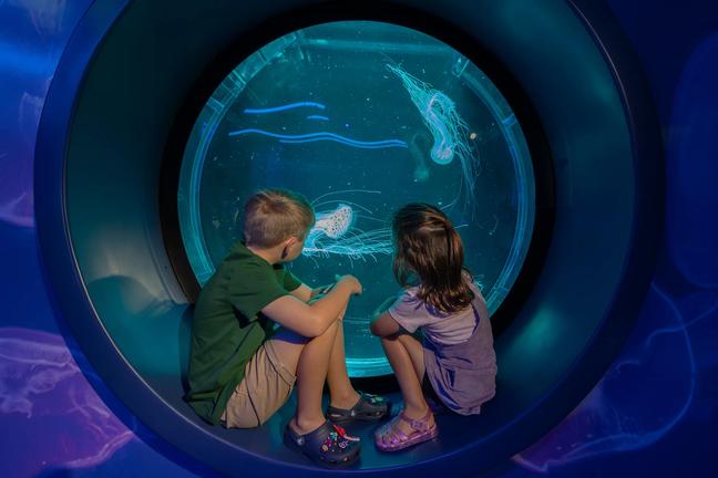 MerlinEntertainmentshttps://www.visitsealife.com