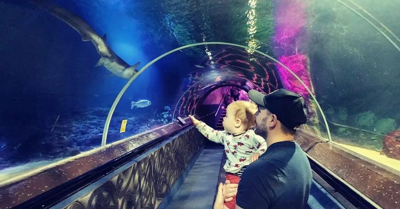 MerlinEntertainmentshttps://www.visitsealife.com
