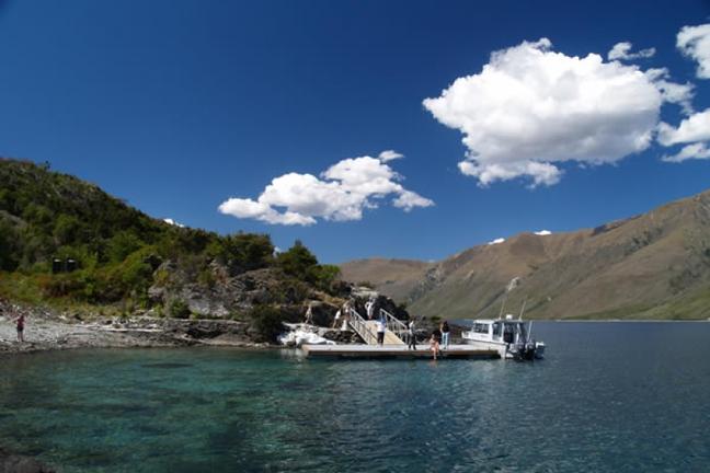 LakeWanakaCruise&IslandNatureWalk