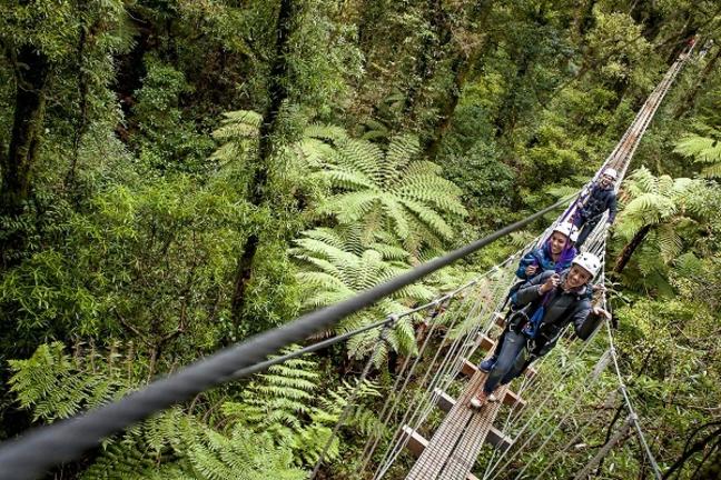 RotoruaCanopyTours