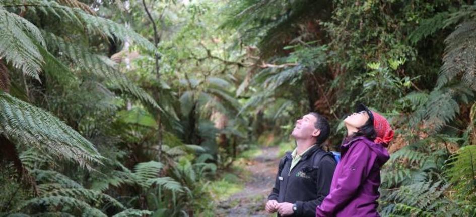 MilfordTrackGuidedWalk