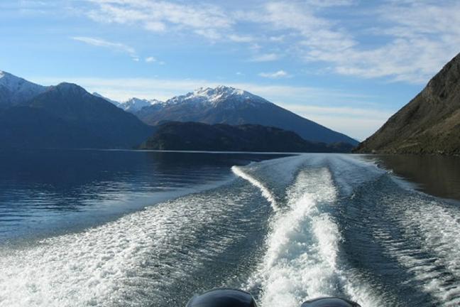 LakeWanakaCruise&IslandNatureWalk