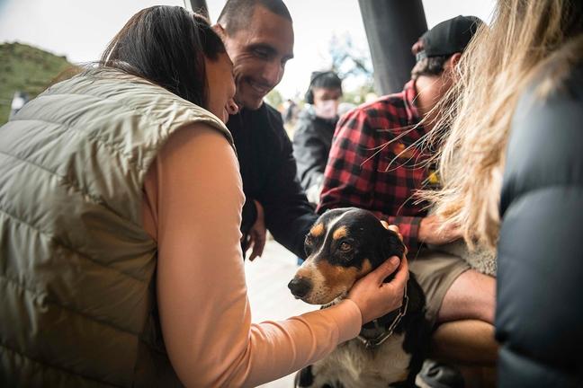 RealNZhttps://www.realnz.com/