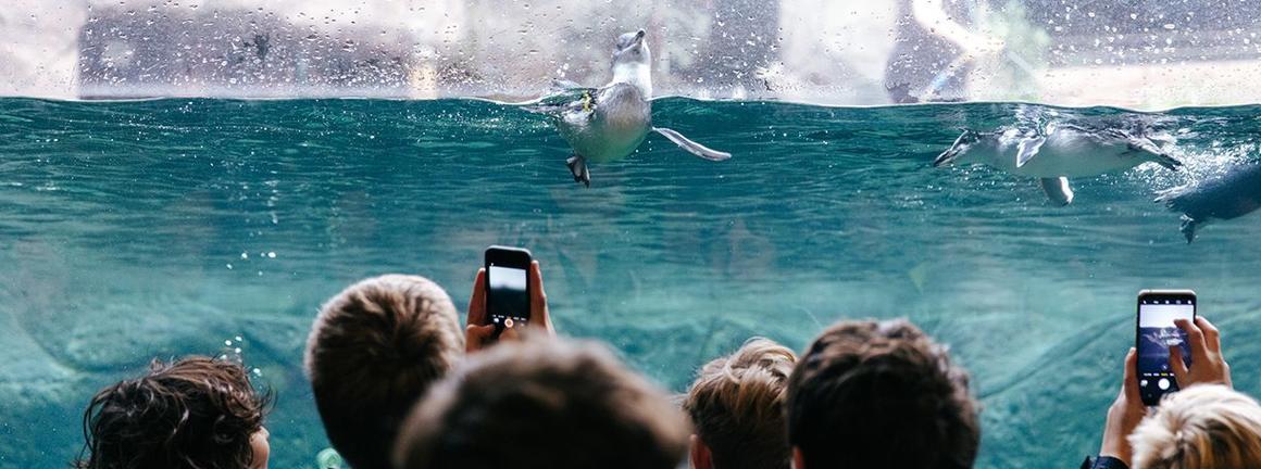 InternationalAntarcticCentrehttps://www.iceberg.co.nz/