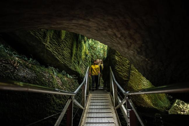 RealNZhttps://www.realnz.com/