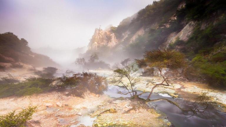 WaimanguVolcanicValleyhttps://www.waimangu.co.nz/