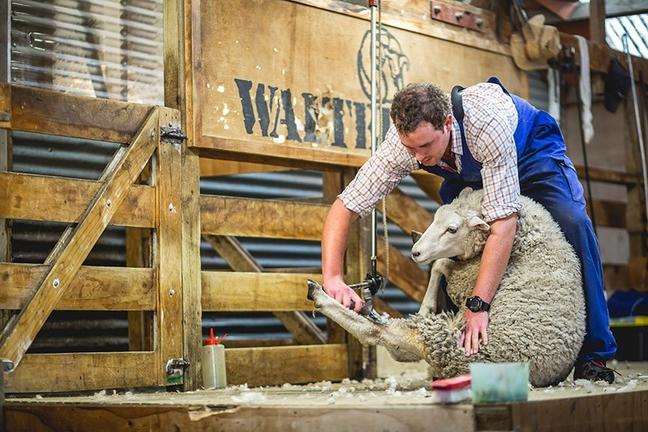 RealNZhttps://www.realnz.com/