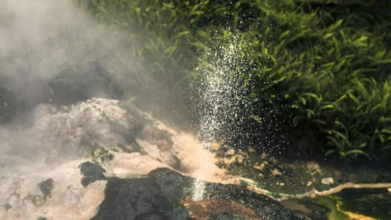 WaimanguVolcanicValleyhttps://www.waimangu.co.nz/