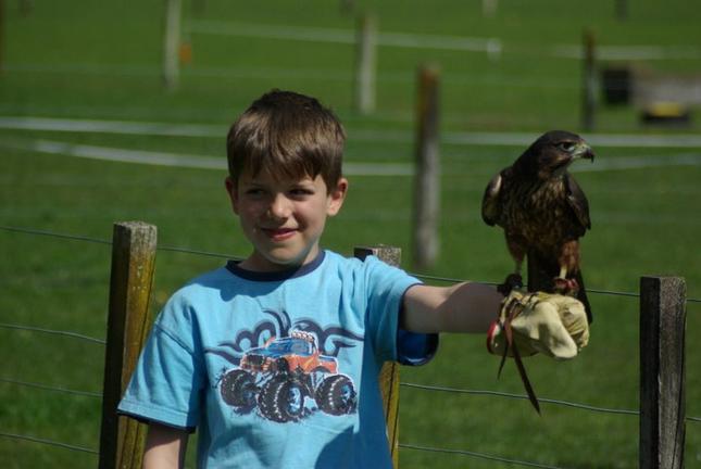 WingspanBirdsofPreyTrust