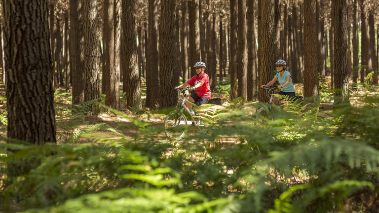 Wheelie Fantastic Cycle Tours