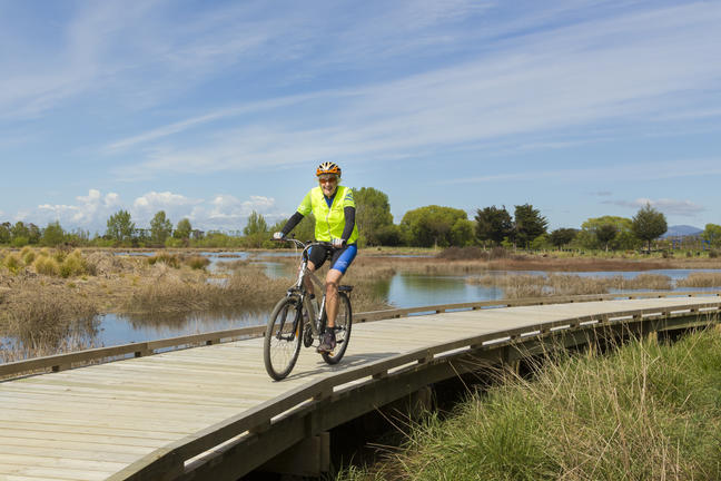 Chocolate Dog Studio