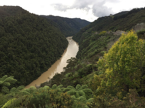 Drive along Whanganui River to Pipiriki