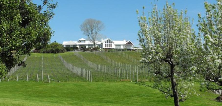 Ruby Bay Vineyard Lodge & Cottage