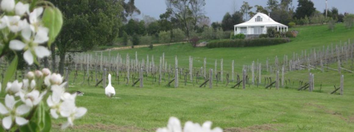 Ruby Bay Vineyard Lodge & Cottage