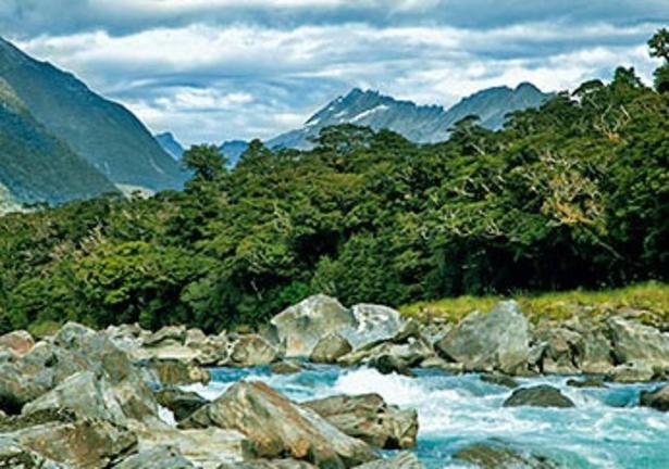 Wayne'sWaiatotoRiverSafari