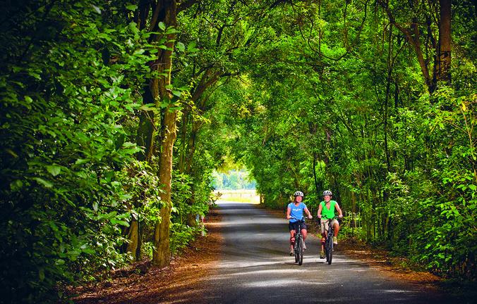 Wheelie Fantastic Cycle Tours